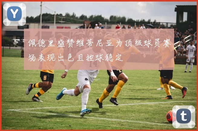 佩德里盛赞维蒂尼亚为顶级球员赛场表现出色且控球稳定